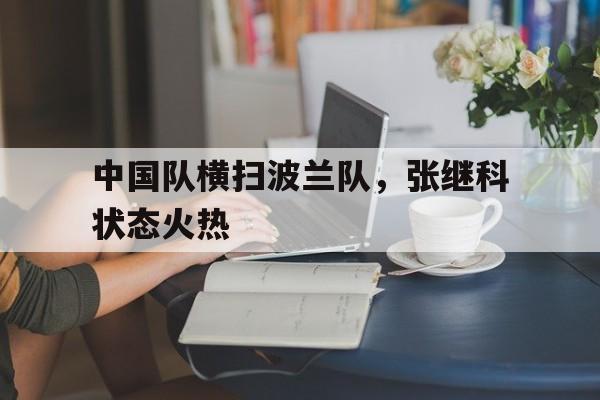 中国队横扫波兰队，张继科状态火热
