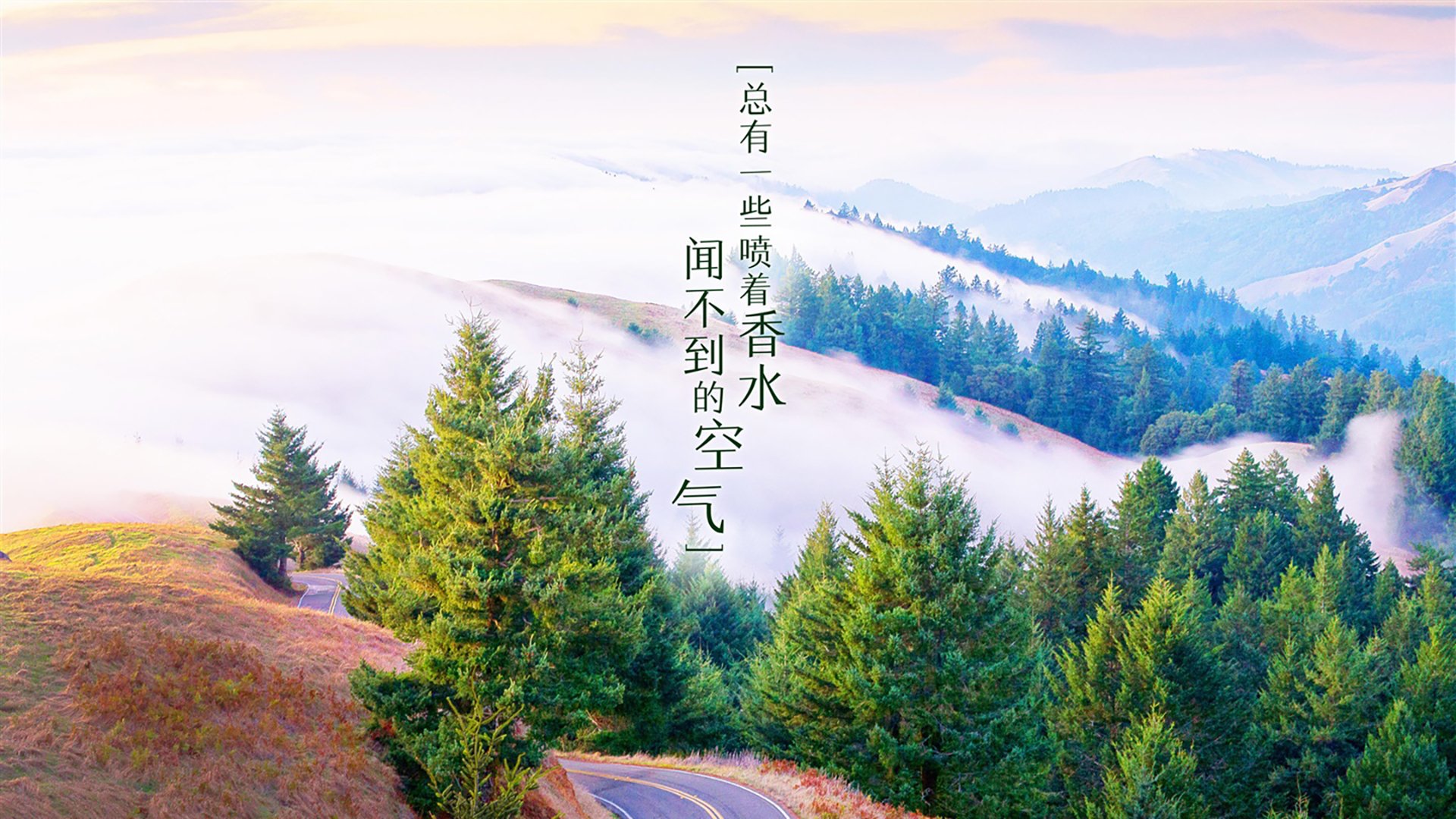 宿敌赛道暗战！雷诺轻取威廉姆斯的秘密王牌，勒克莱尔的神勇只是障眼法？