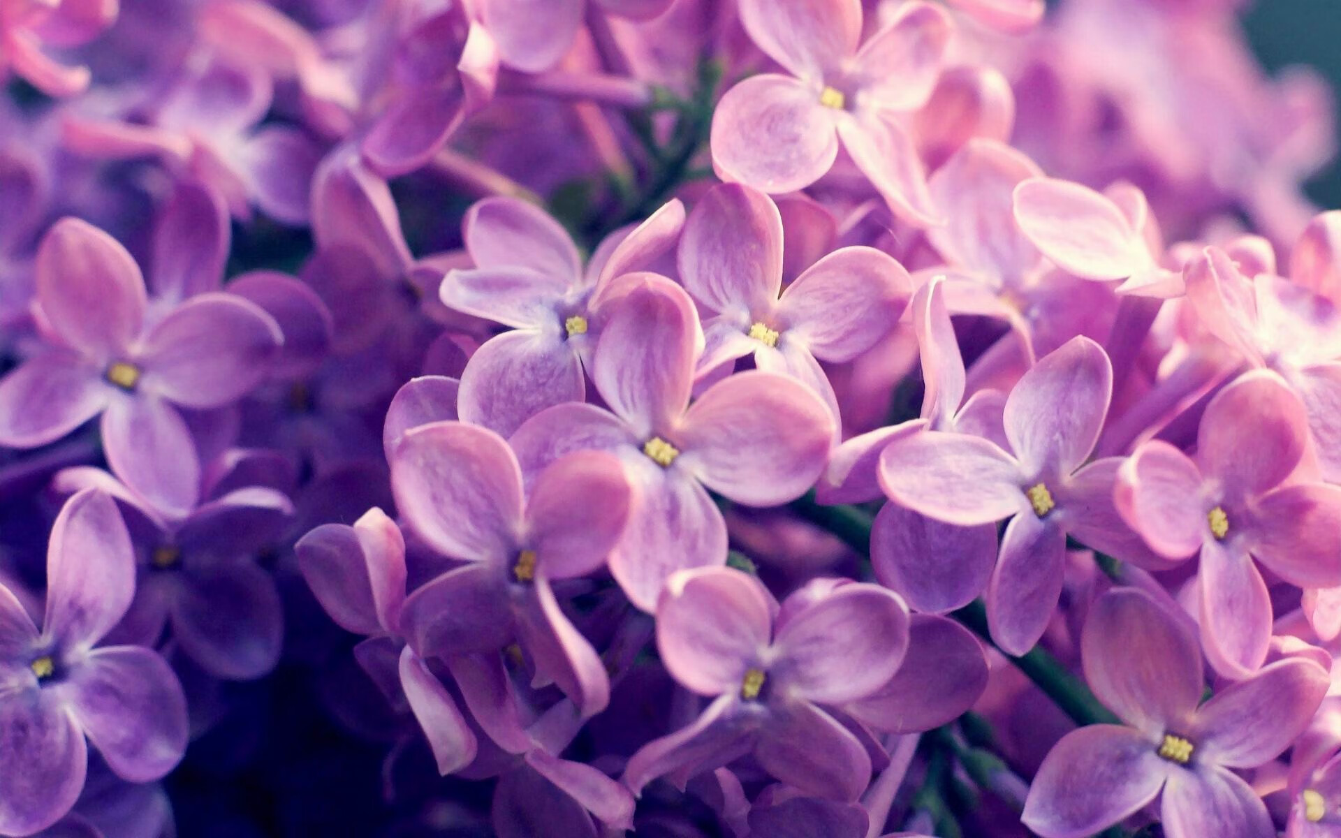 （扩展思维后）