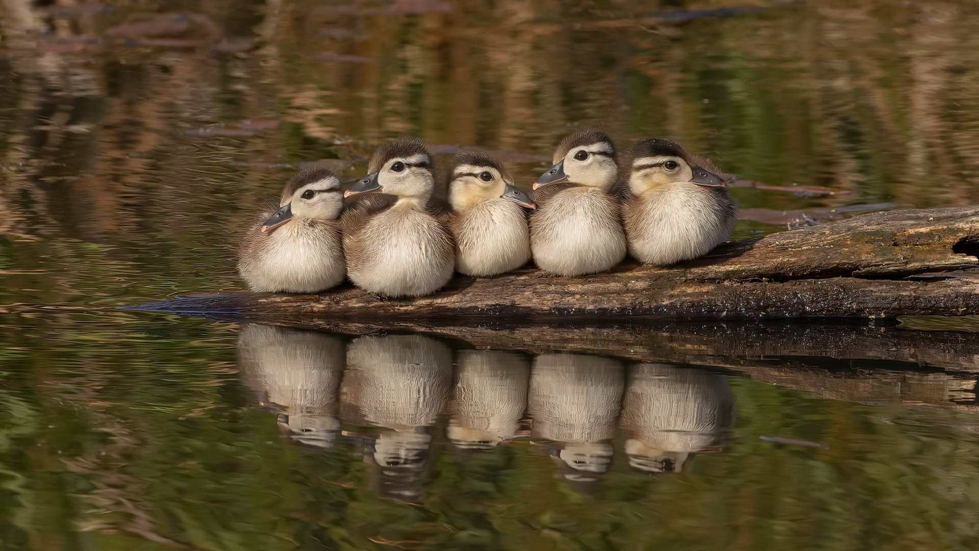 梅西任意球绝杀！当乌拉圭国家队在元宇宙遭遇红魔曼联