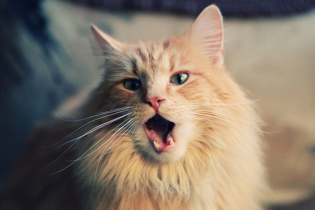 华丽数据背后，卡塞米罗统治级表现，为何仍难破巴萨锁死皇马？