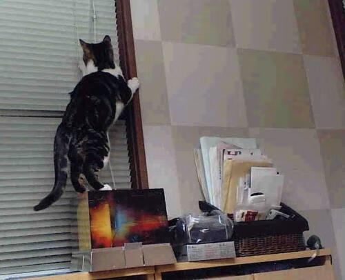 从中国带走巴黎到布雷默接管2026，一场文化与竞技的终极接力