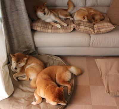 秘鲁铜墙对红魔铁蹄，城市赛道与绿茵的极限突围