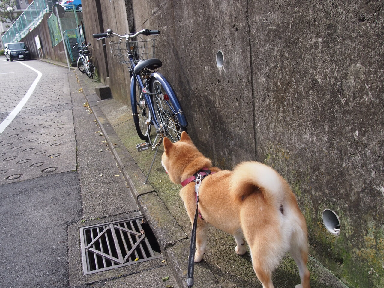 王冠前的暗夜跋涉，杜兰特的欧冠决赛之夜