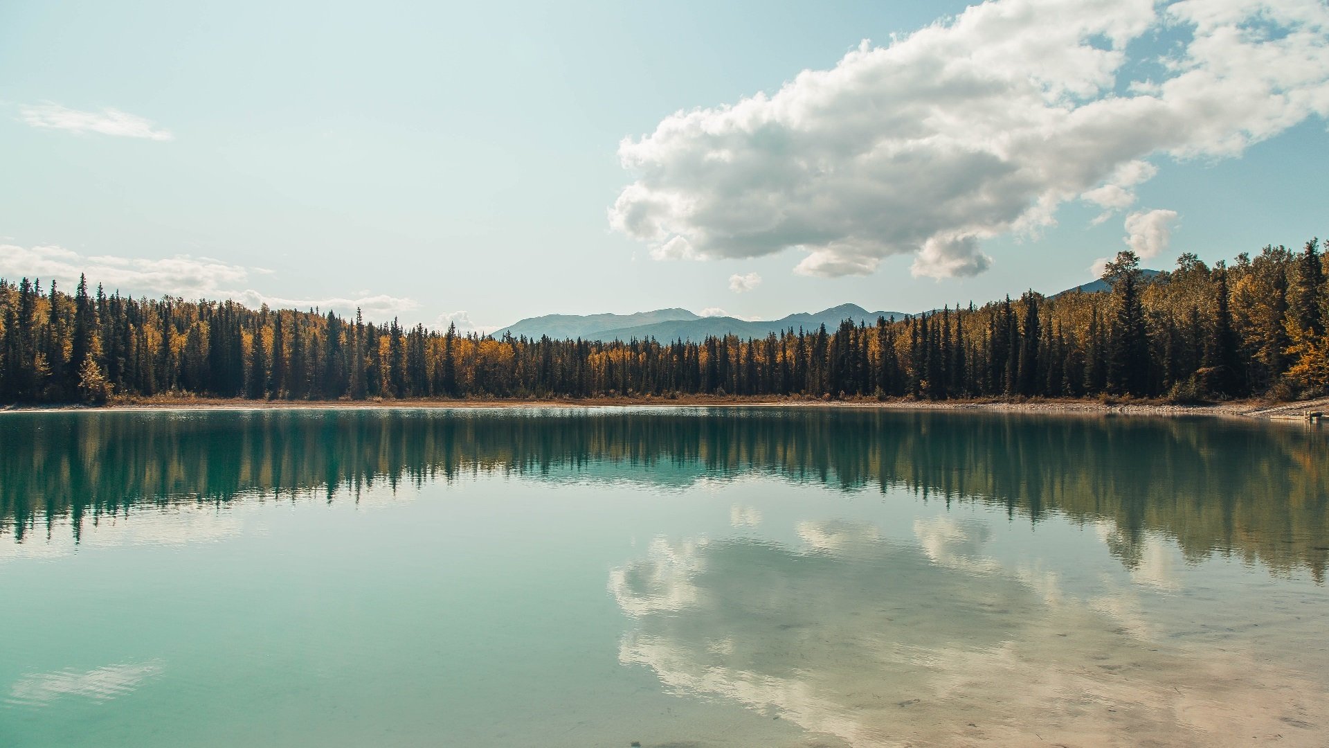 门迪，苏格兰的守护神与德国的噩梦