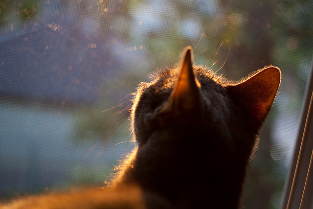 F1新赛季揭幕战与挪威足球大捷，一个周末的双重体育风暴