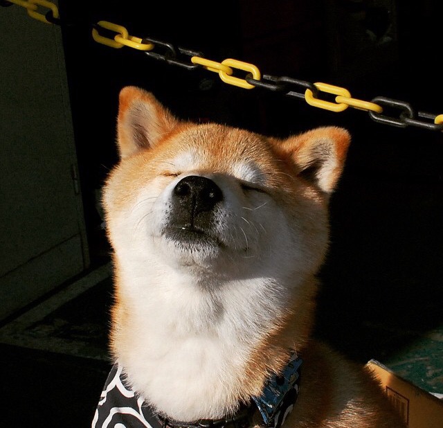 风卷俄城！青春雷霆逆转生死战，爵士饮恨西决门前