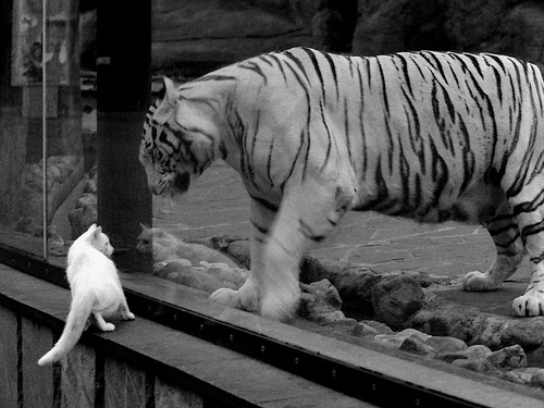 时空武士,德里赫特在公元84年罗马前线与2023年西决生死战同时接管比赛