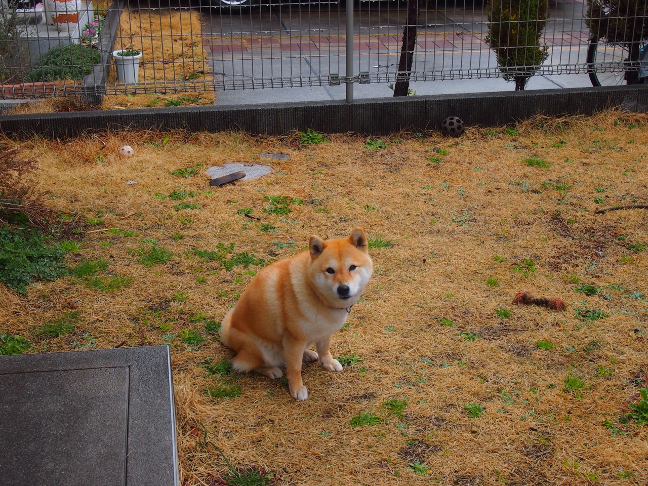 终场哨响的宿命，从曼城绝杀到桑切斯拯救智利