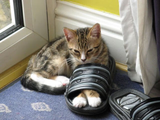 奥斯陆之夜！李刚仁终场灵光一闪，挪威童话在嘘声中改写