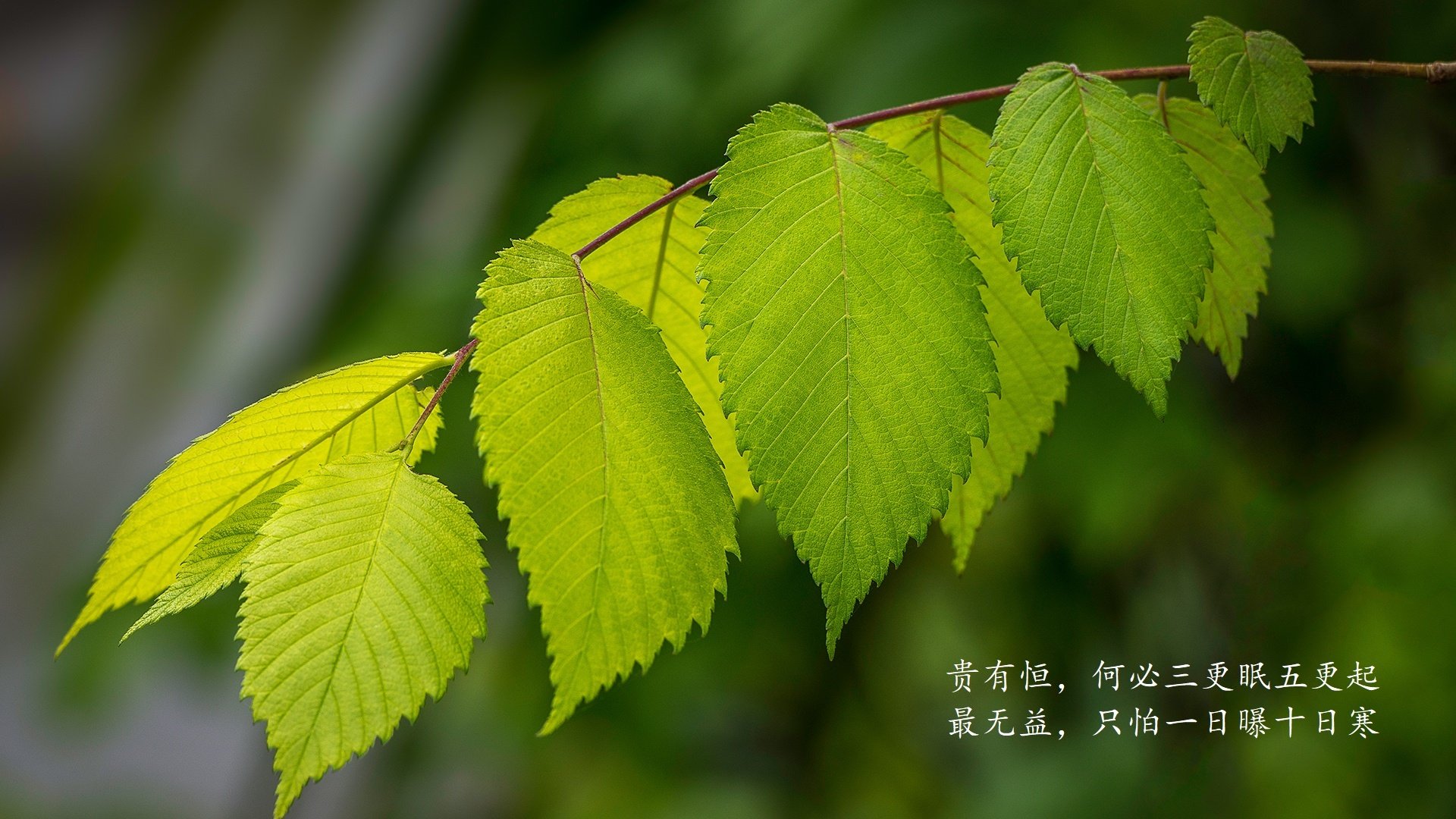 恒河逆流,2026世界杯G组焦点战,印度三球逆转英格兰,德容冷血统治中场,钢铁防线铸就历史之夜